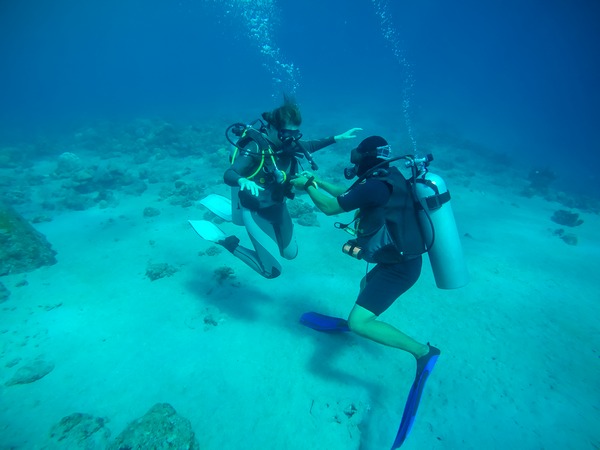Torra Plongée Club de plongée Propriano